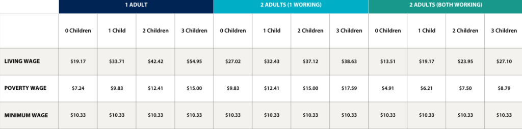 Chart that shows the living wages of low income Newaygo County households.